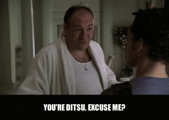 James Gandolfini in The Sopranos (1999), captioned "You're Ditsu. Excuse me?", Confrontational and Menacing reaction animated GIF
