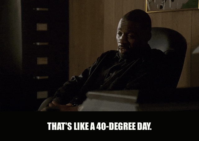 Idris Elba in The Wire (2002), captioned "That's like a 40-degree day.", Unimpressed and Measured reaction animated GIF