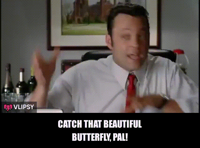 Vince Vaughn in Wedding Crashers (2005), captioned "Catch that beautiful butterfly, pal!", Funny and Awkward reaction animated GIF